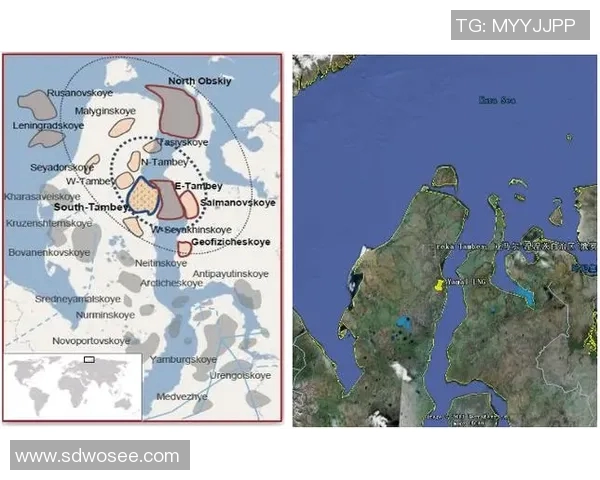 亚马尔地区的能源战略与全球气候变化的互动关系研究